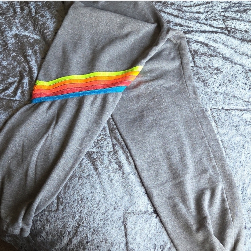 Avaitor Nation Gray Sweatpants with Neon Stripes - Picture 3 of 7